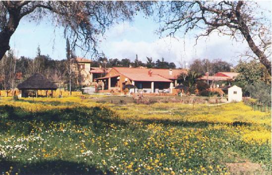 Villa Cortijo Zalamea Zalamea la Real Esterno foto