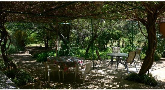 Villa Cortijo Zalamea Zalamea la Real Esterno foto