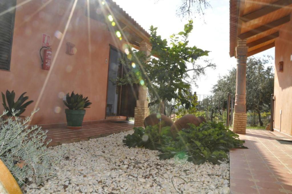 Villa Cortijo Zalamea Zalamea la Real Camera foto