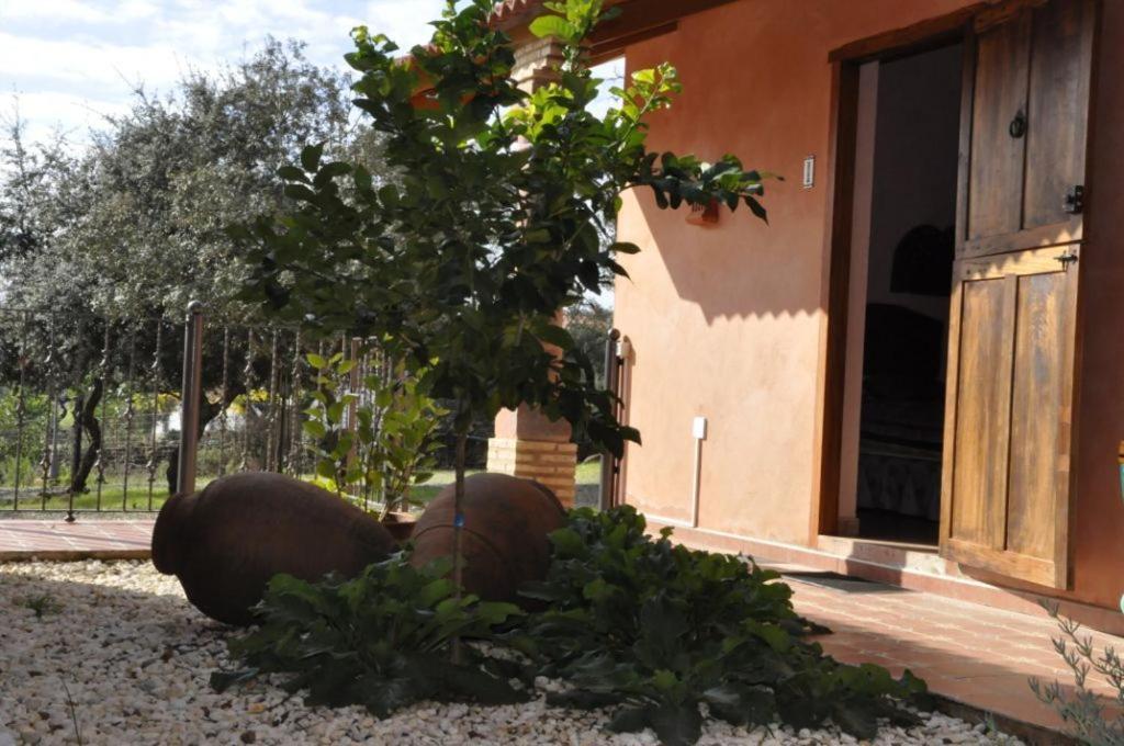 Villa Cortijo Zalamea Zalamea la Real Camera foto